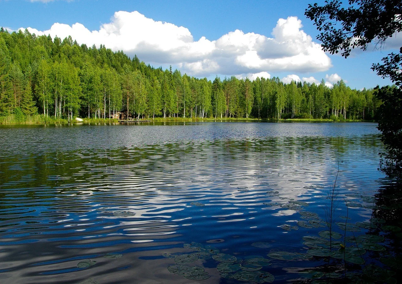 Scandinavian tours - Finland forests