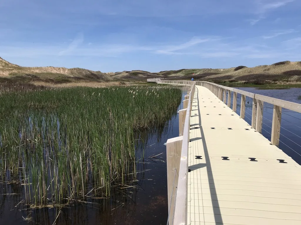 Greenwich Dunes Trail in PEI Photo Heatheronhertravels.com