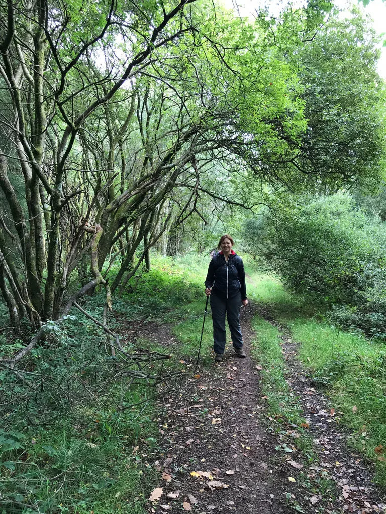 St Gwynnos Forest in The Valleys South Wales Photo Heatheronhertravels