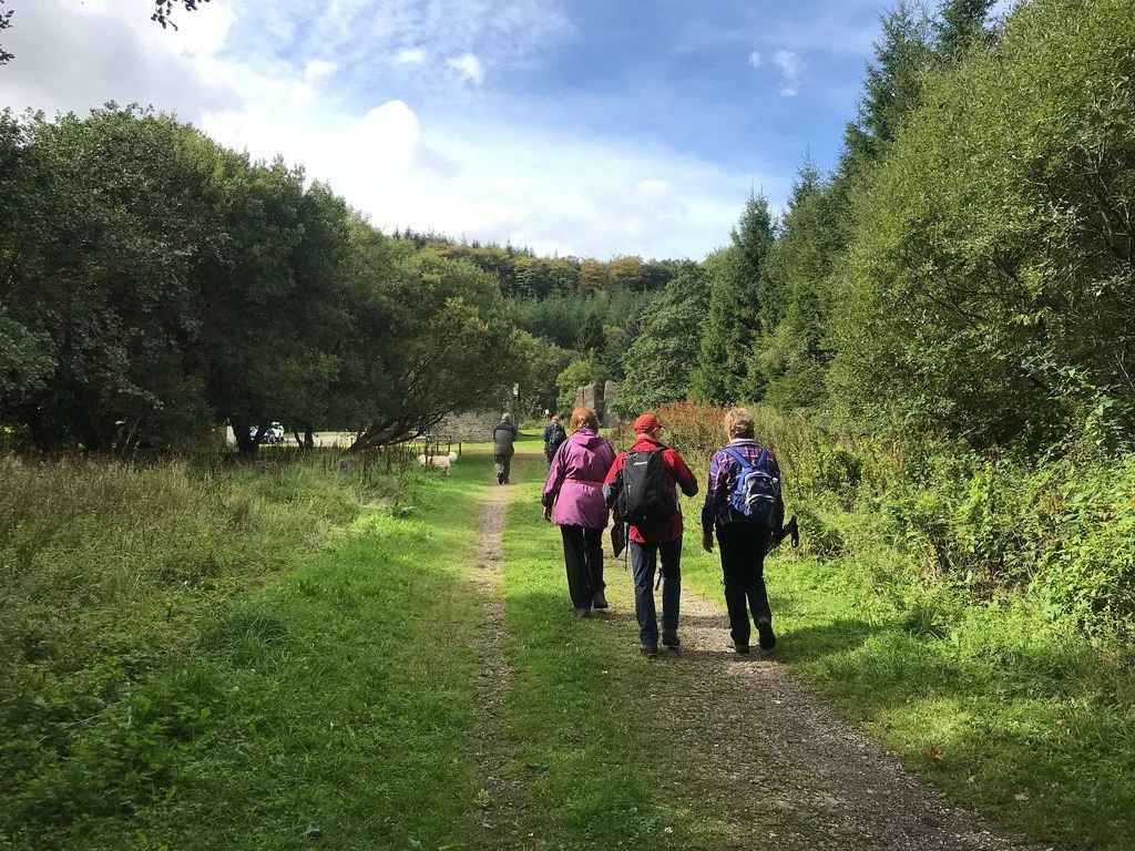 St Gwynnos Forest in The Valleys South Wales Photo Heatheronhertravels