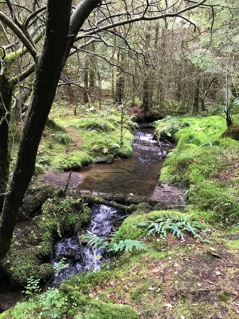 St Gwynnos forest 3 in South Wales Photo Heatheronhertravels.com