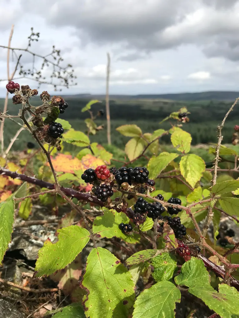 St Gwynnos view in The Valleys South Wales Photo Heatheronhertravels