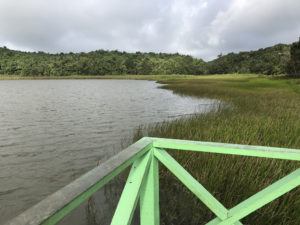 Grand Etang Lake in Grenada Photo Heatheronhertravels.com