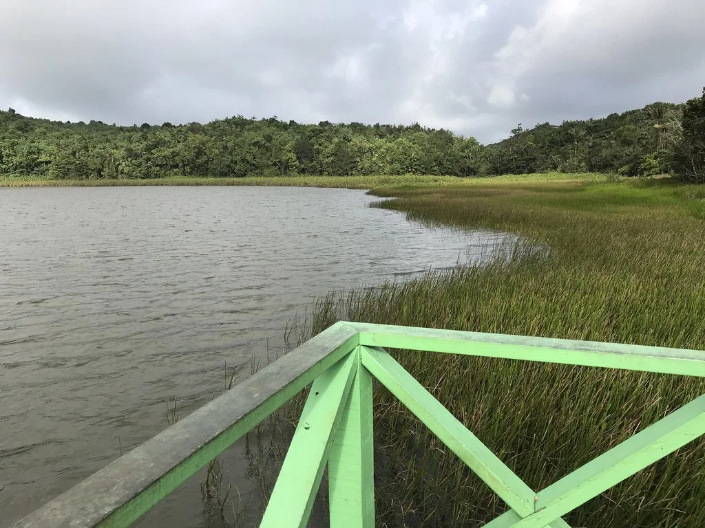 Grand Etang Lake in Grenada Photo Heatheronhertravels.com