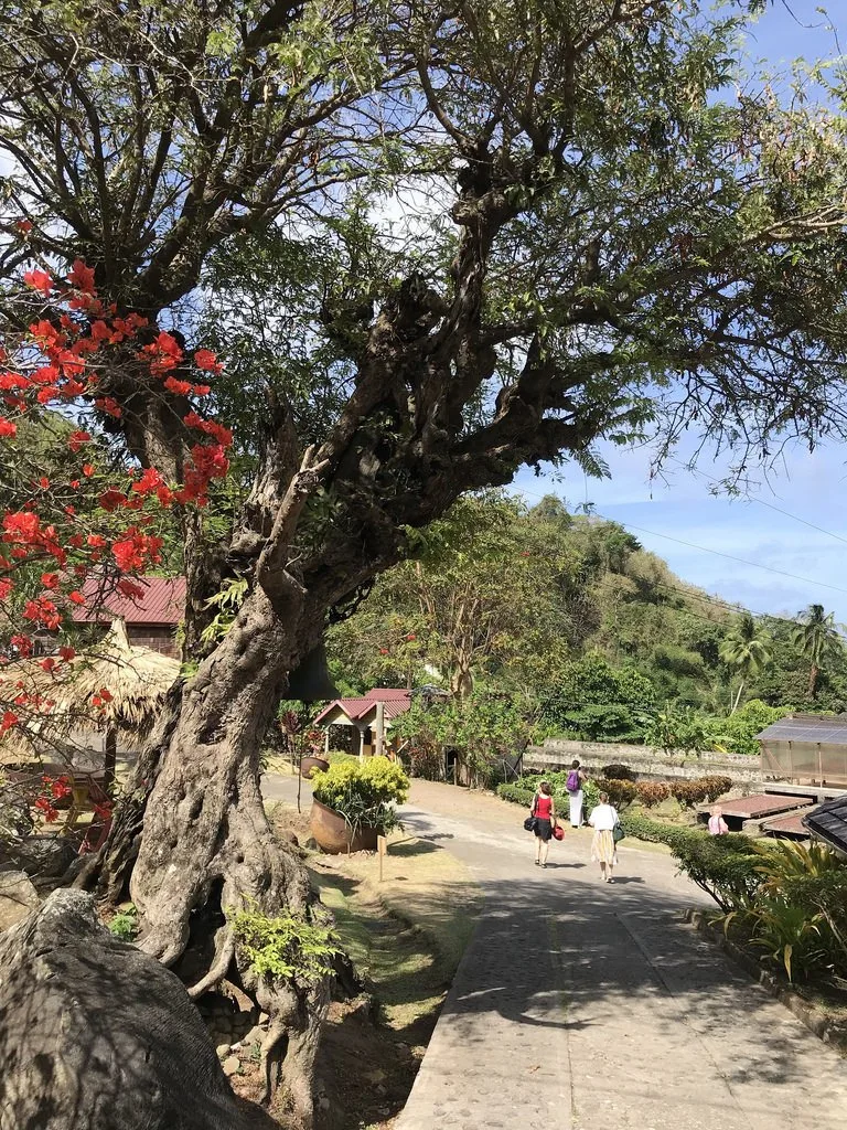 Belmont Estate in Grenada Photo- Heatheronhertravels.com