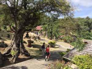 Belmont Estate in Grenada Photo- Heatheronhertravels.com