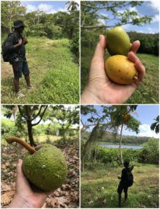 Hiking to Lake Antoine in Grenada