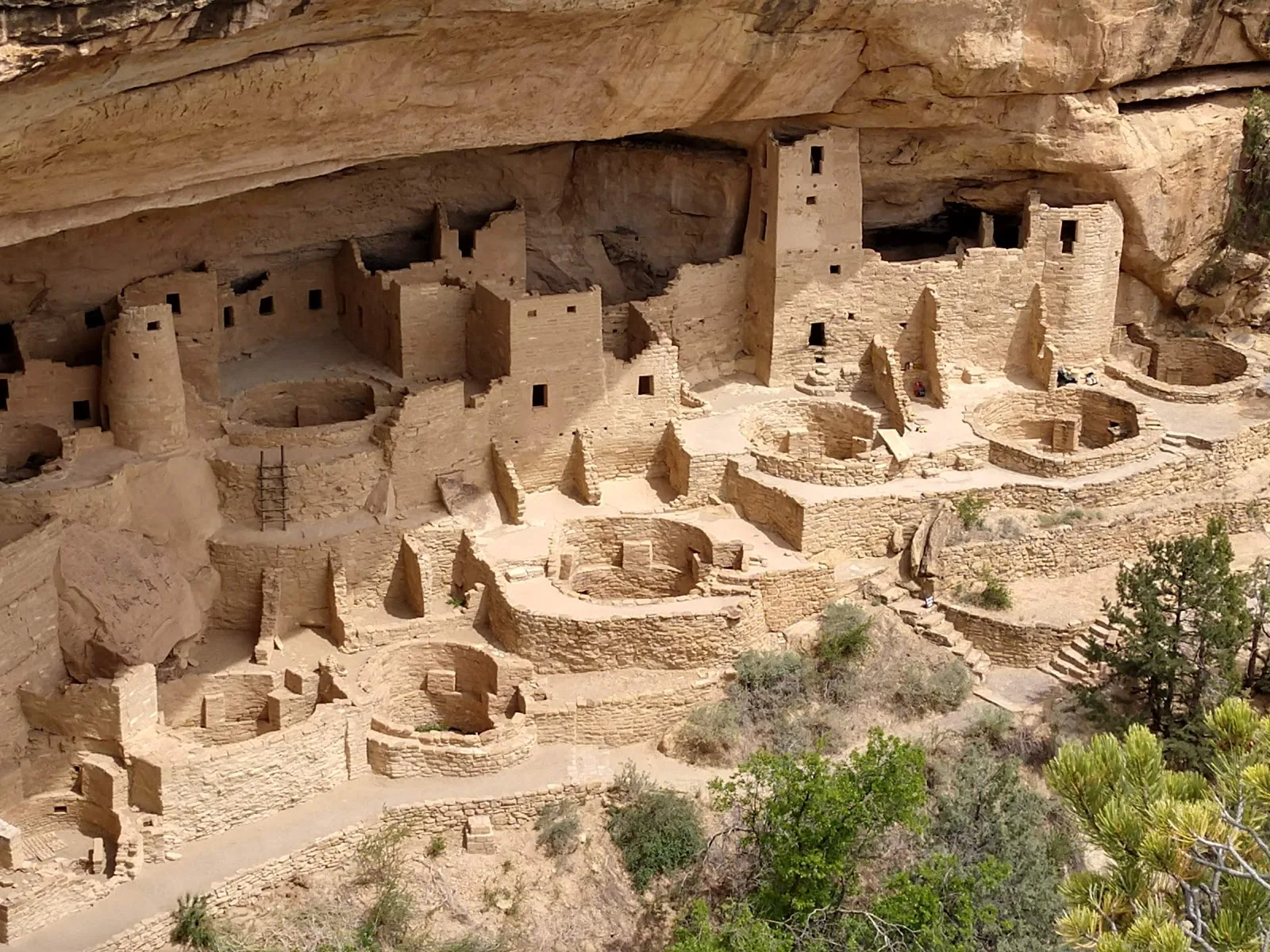 Cliff Palace in Mesa Verde National Park Photo Don A