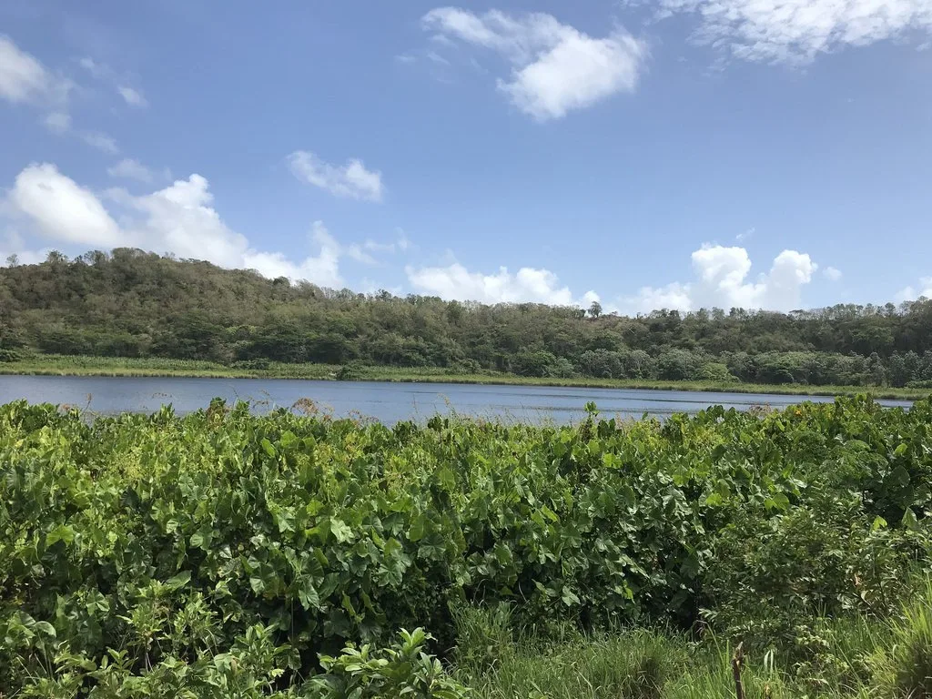 Hiking to Lake Antoine in Grenada Photo Heatheronhertravels.com