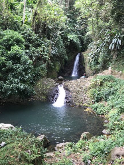 Hiking in Grenada - waterfalls, hot springs and plantations