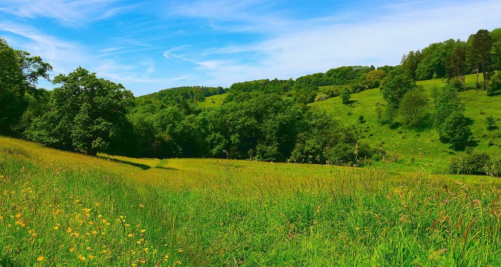 Golden Valley near Stroud Photo: Richard Szwejkowski