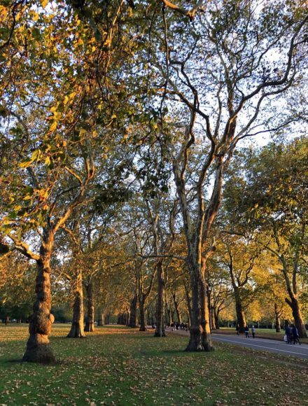 Discover things to do near Marble Arch in London