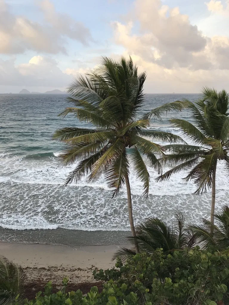 View from Petite Anse in Grenada