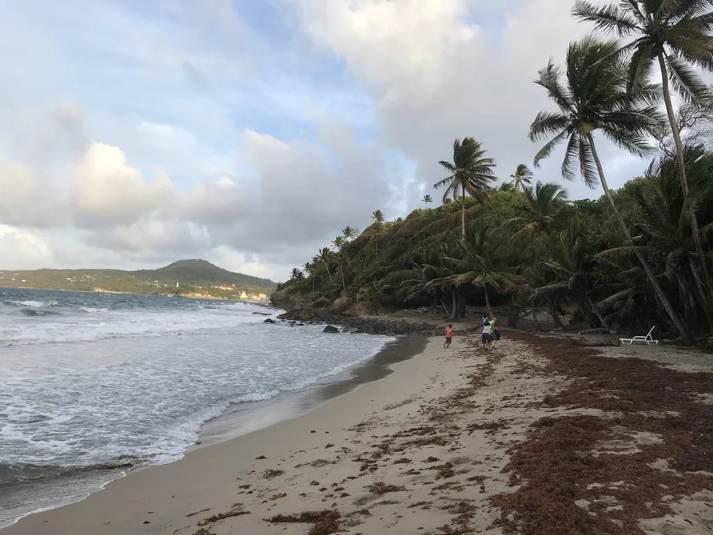 Beach by Petite Anse in Grenada