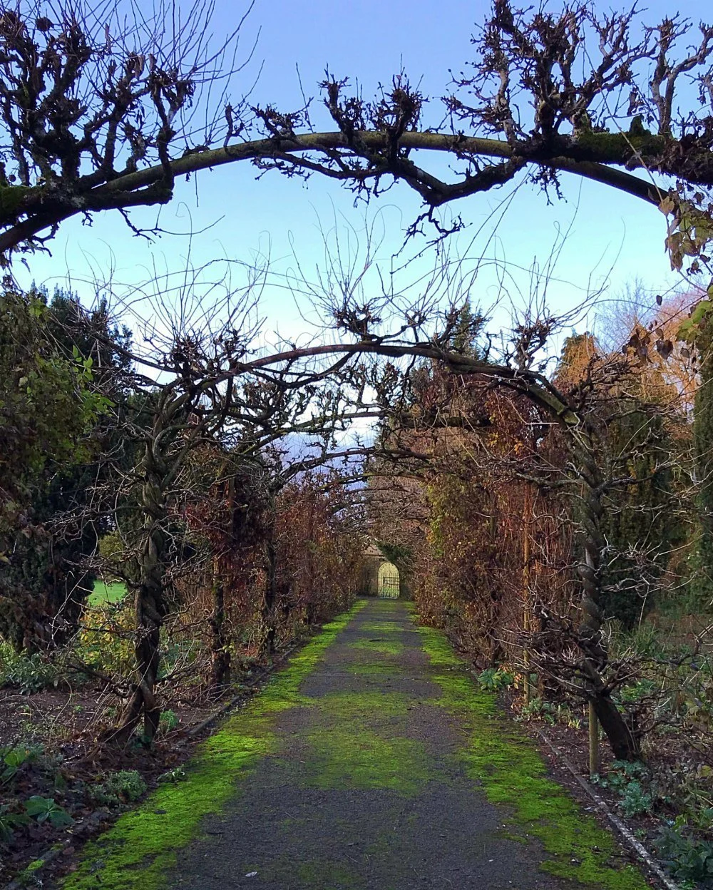 Winter garden at Bruern Cottages - Photo Heatheronhertravels.com