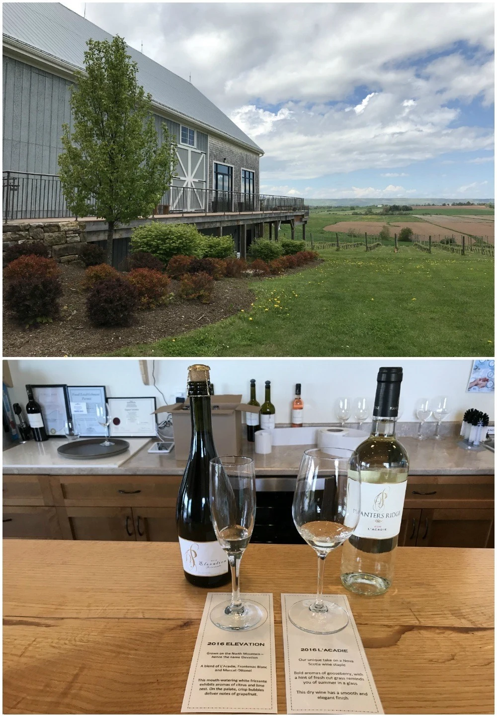 Planter's Ridge winery in Nova Scotia Canada