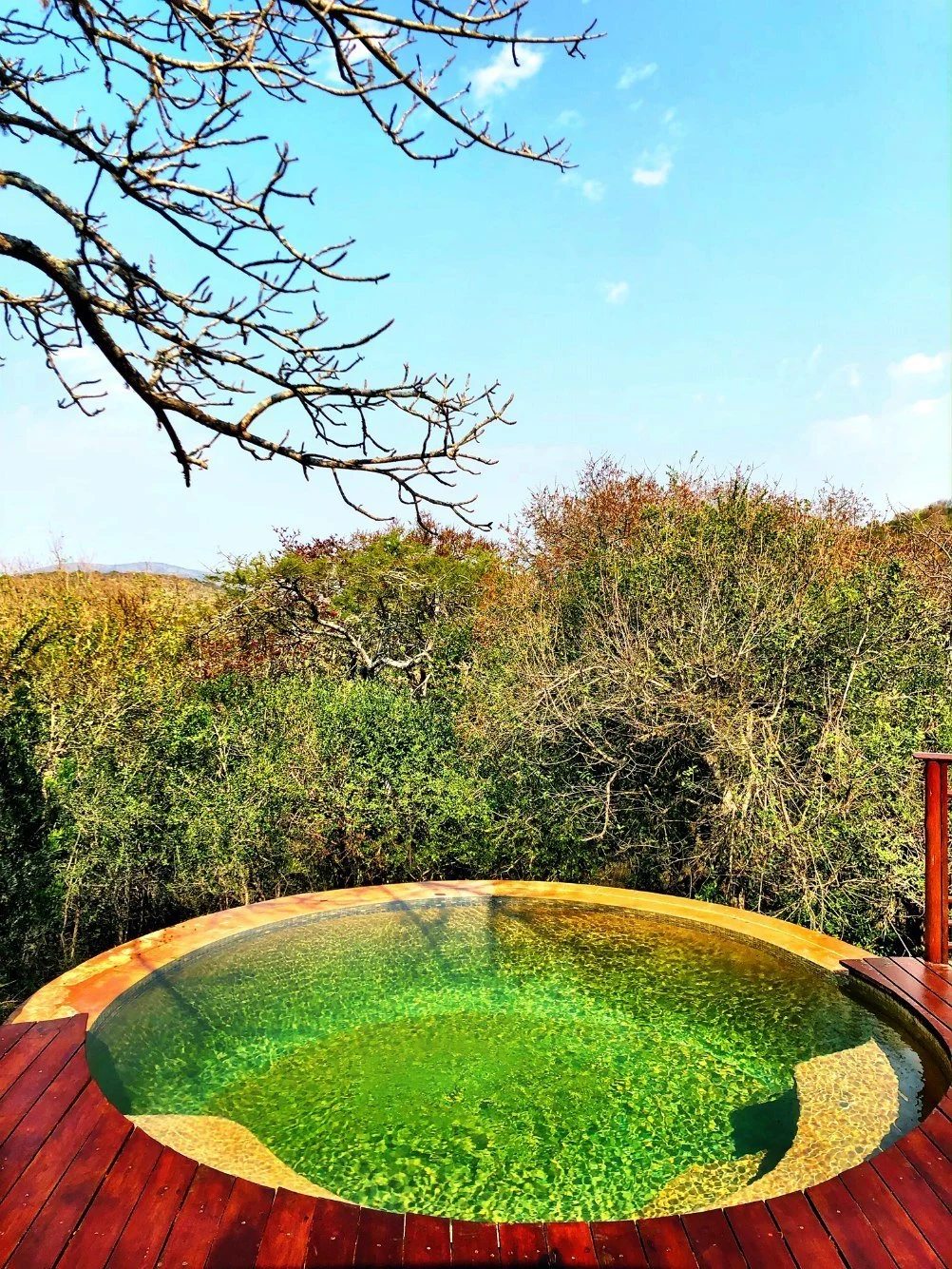 Pool in Thanda Game Reserve South Africa Photo Amanda O'Brien