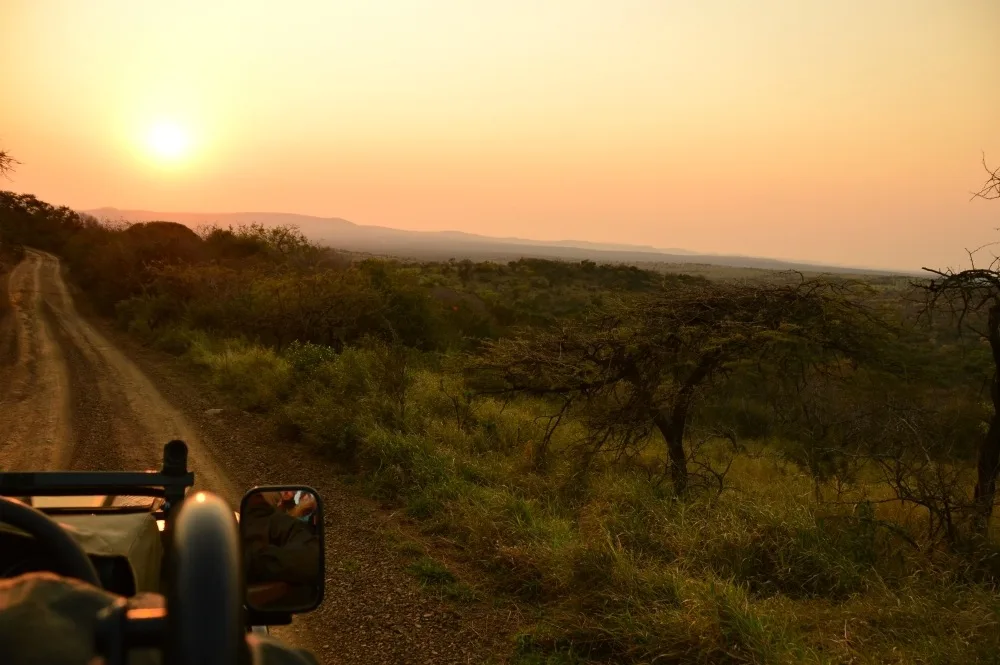 Sunset game drive in Thanda Game Reserve South Africa Photo Amanda O'Brien