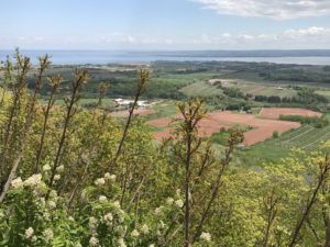 The lookoff in Nova Scotia Canada Photo Heatheronhertravels.com