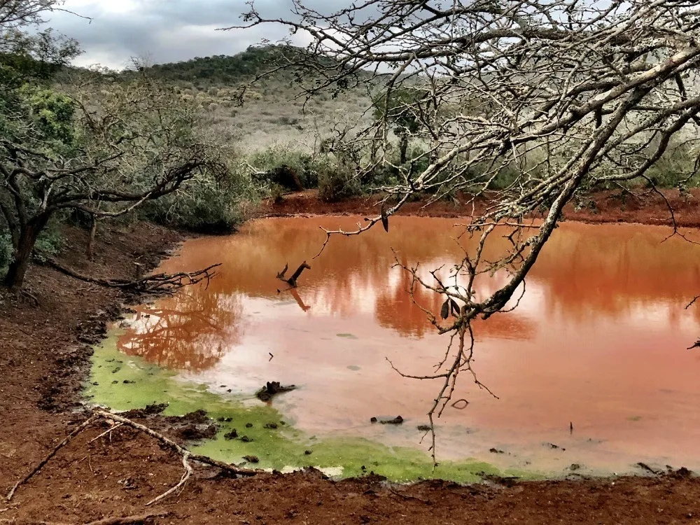 Watering hole in Thanda Game Reserve South Africa Photo Amanda O'Brien