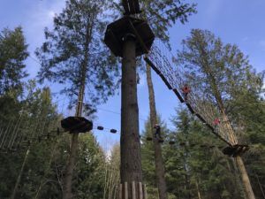 Go Ape in the Forest of Dean