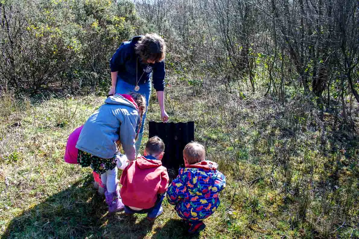 Parc Slip Nature Reserve Photo Kidsandcompass.com