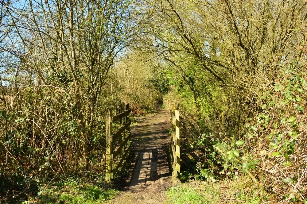 Parc Slip Nature Reserve Wales Photo TheBoutiqueAdventurer.com