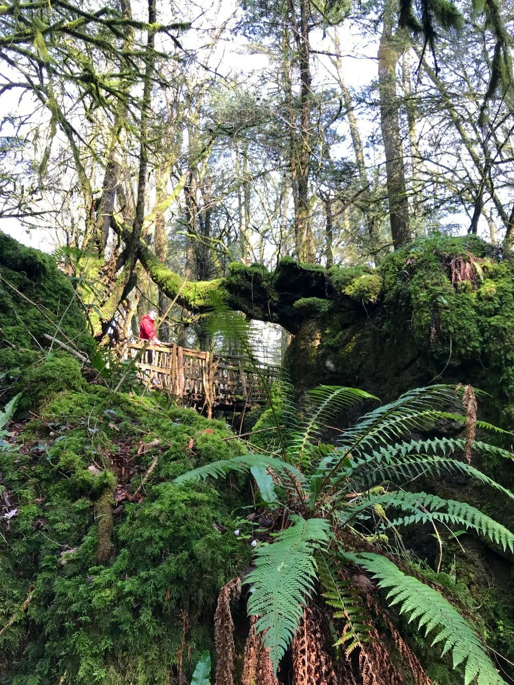 Puzzlewood Forest of Dean Photo Heatheronhertravels.com