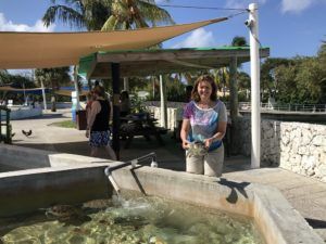 Cayman Turtle Centre Grand Cayman