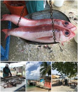 Fish Market Georgetown Cayman Islands