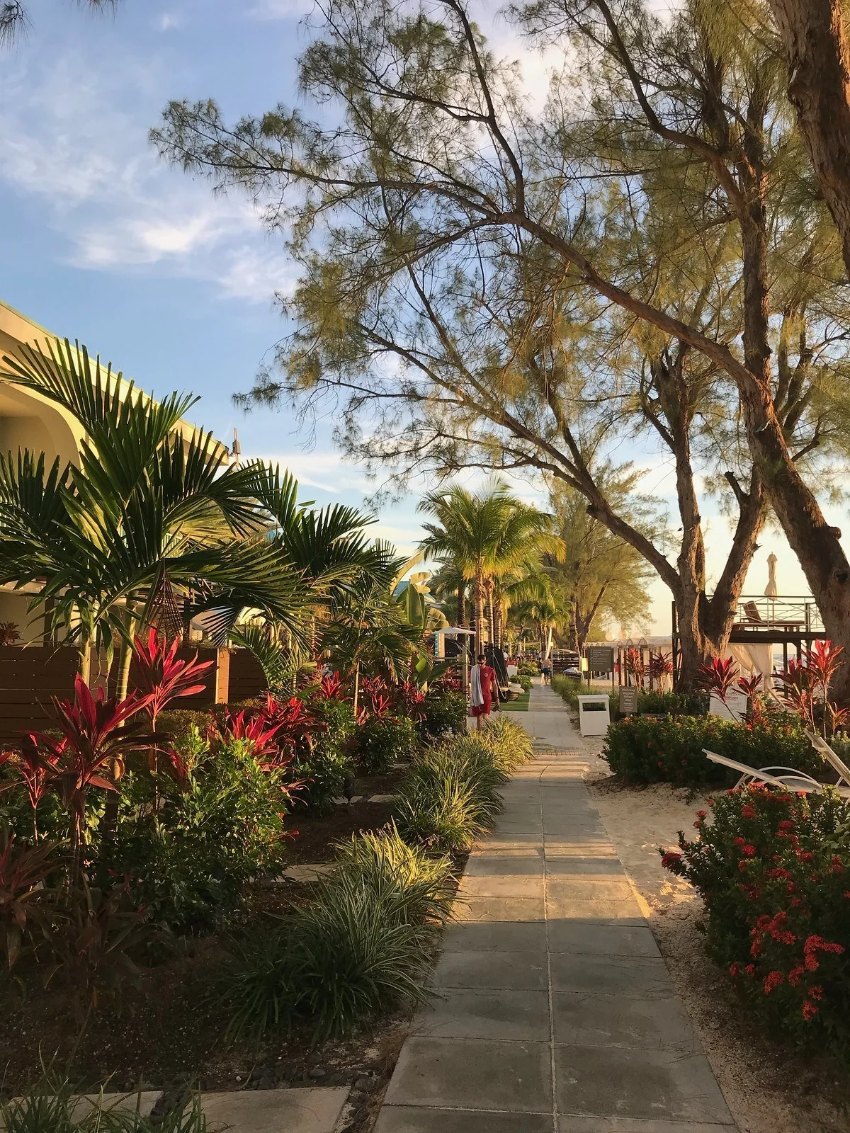 Beachfront Gardens at Westin Grand Cayman Seven Mile Beach Resort