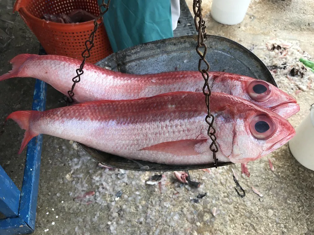 Fish market in George Town