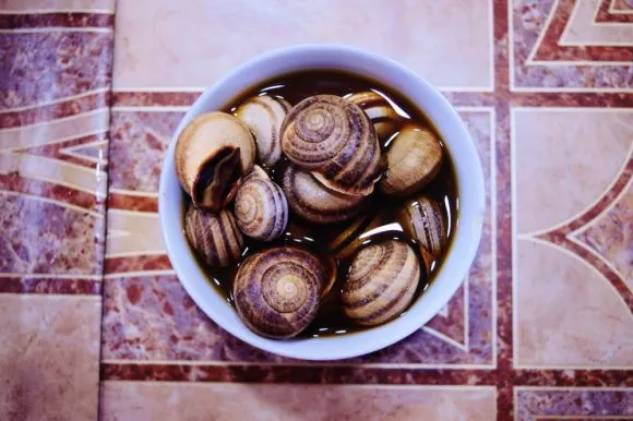 Moroccan snails bowl