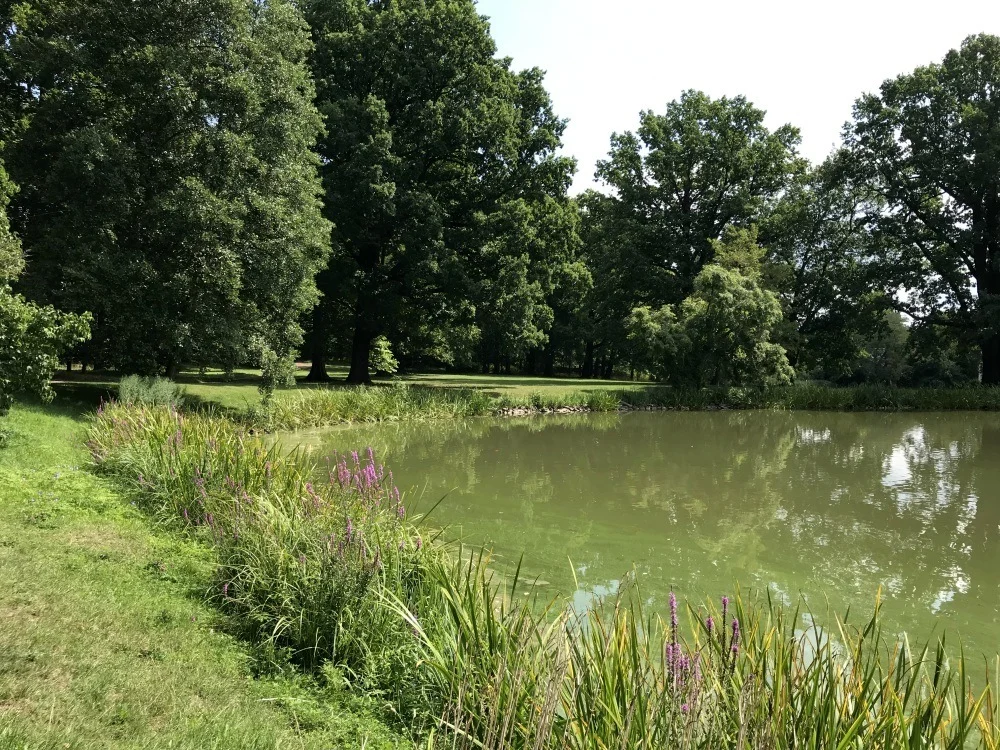 English Garden at Friedenstein Museum in Gotha, Thuringia, Germany Photo Heatheronhertravels.com