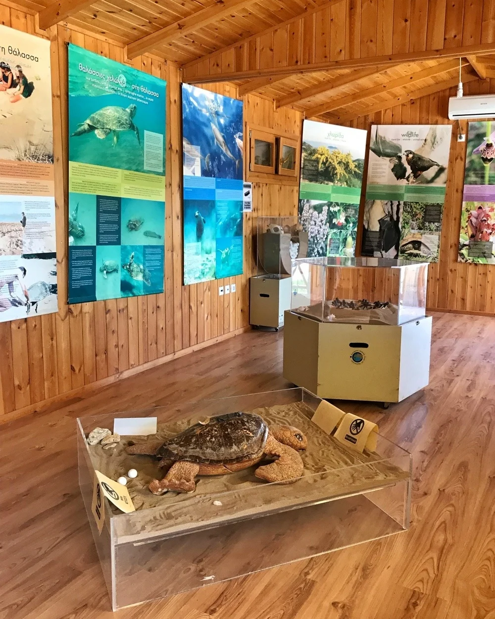 Turtle information centre at Gerakas Zakynthos Photo Heatheronhertravels.com