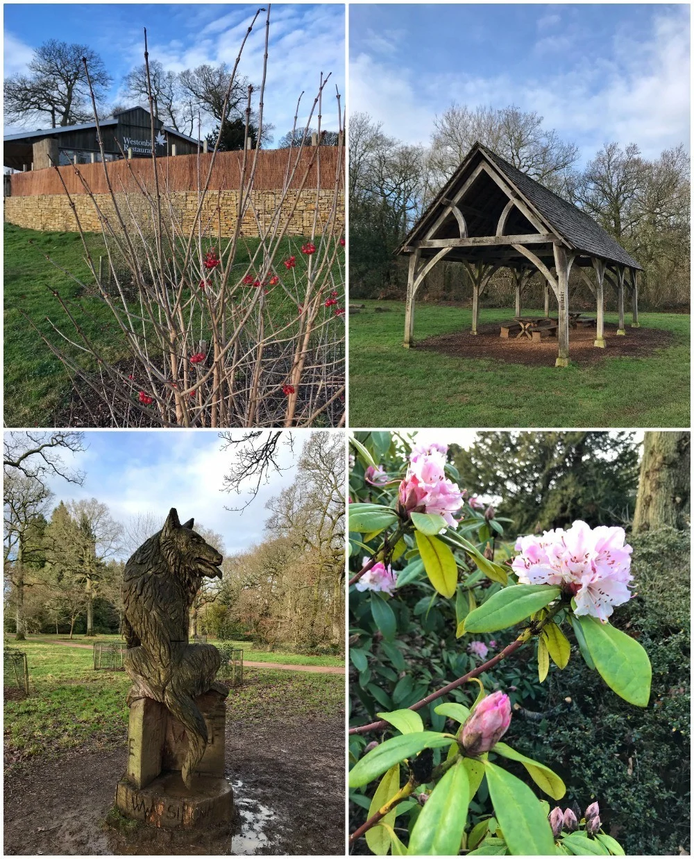 Westonbirt Arboretum in the Cotswolds Photo- Heatheronhertravels.com