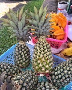 Black Pineapples in Antigua Photo Heatheronhertravels.com