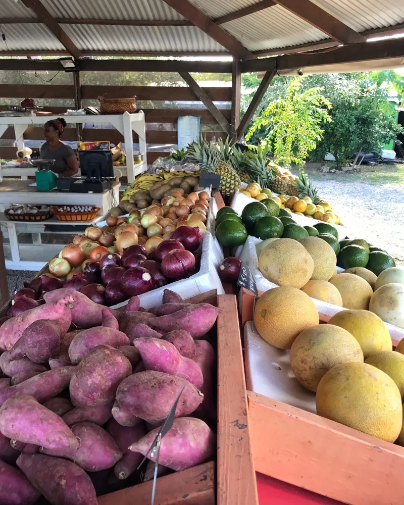 Colesome Farmer's Market Antigua Photo Heatheronhertravels.com