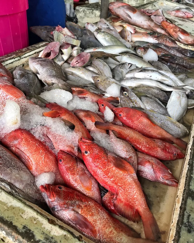 Fish Market St Johns Antigua Photo Heatheronhertravels.com