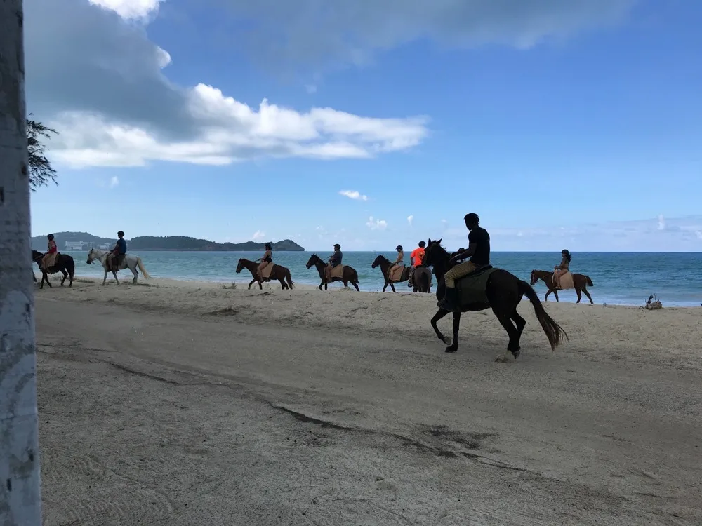 Horse riding in Antigua Photo Heatheronhertravels.com