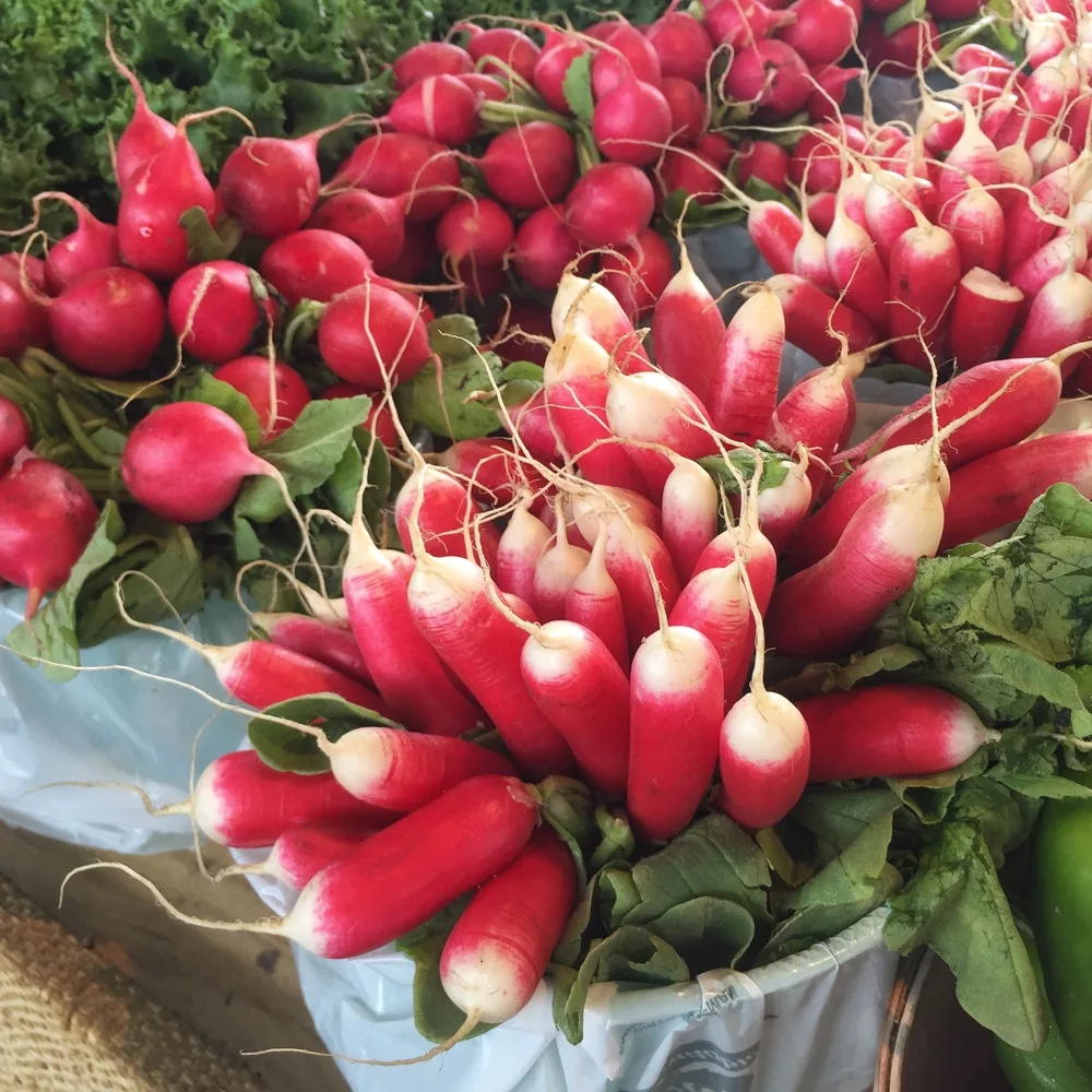 Jean Talon Market Montreal Canada Photo: Heatheronhertravels.com