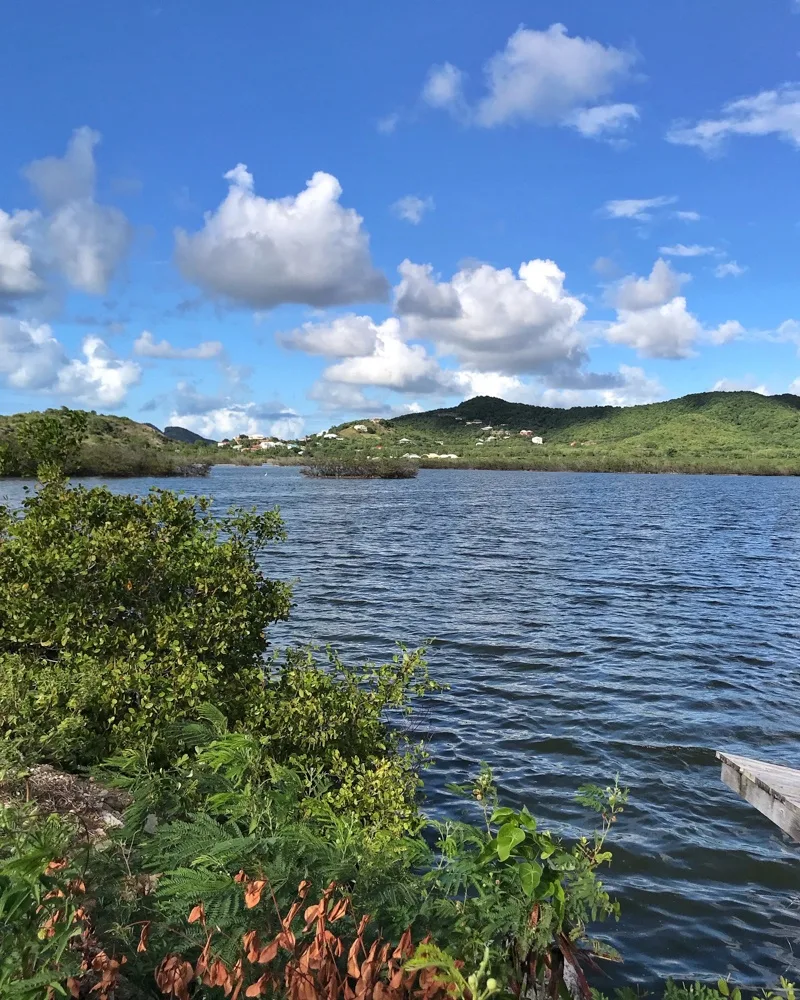 Lagoon near Darkwood Beach Antigua Photo Heatheronhertravels.com