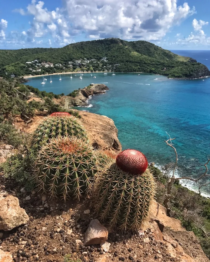 Middle Ground Trail Antigua Photo Heatheronhertravels.com