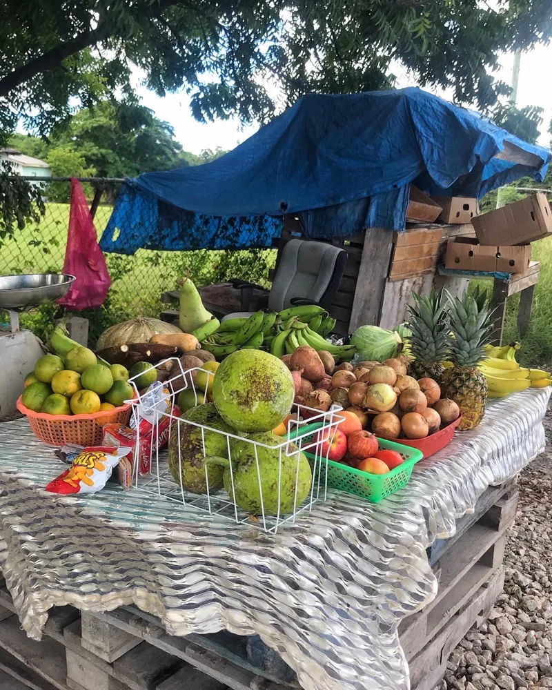 Roadside fruit stall Antigua Photo Heatheronhertravels.com