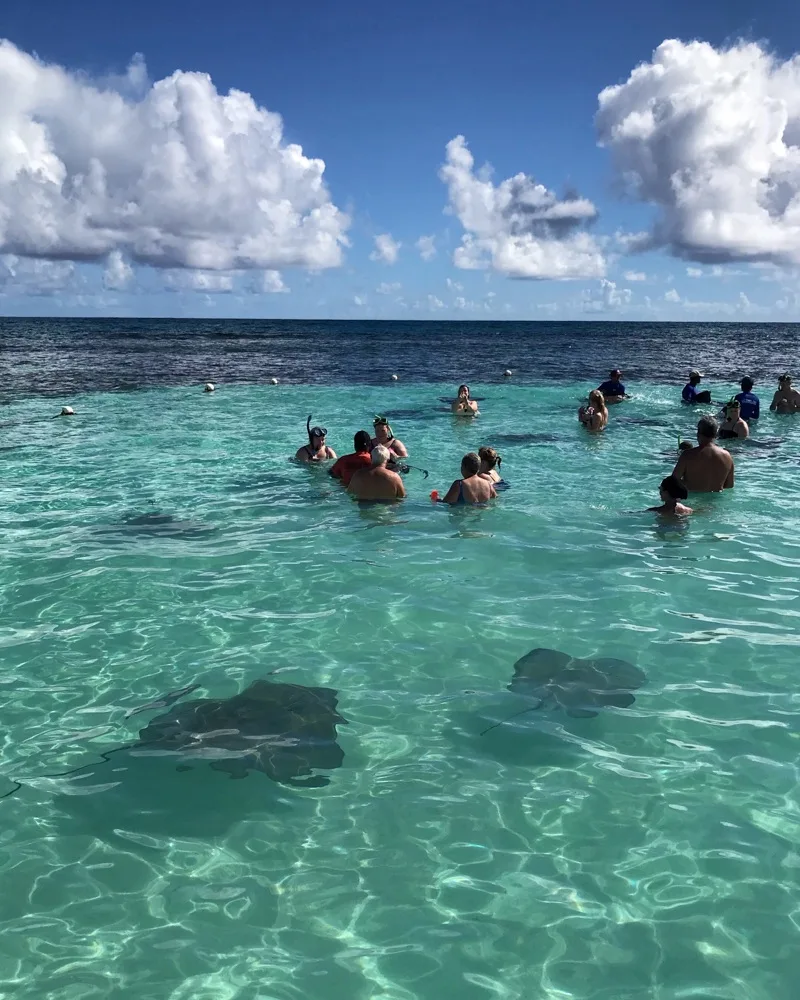 Stingray City Antigua Photo Heatheronhertravels.com