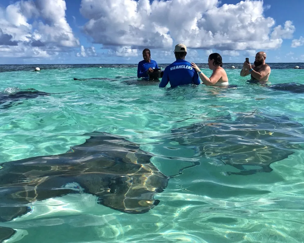 Stingray City Antigua Photo Heatheronhertravels.com