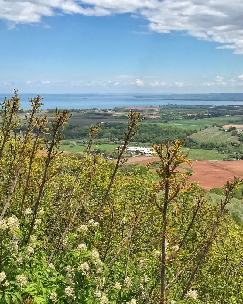 The Lookoff - Annapolis Valley in Nova Scotia, Canada Photo Heatheronhertravels.com