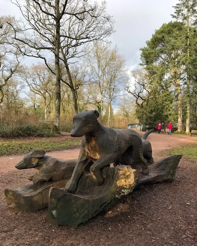 Westonbirt Arboretum in the Cotswolds Photo: Heatheronhertravels.com