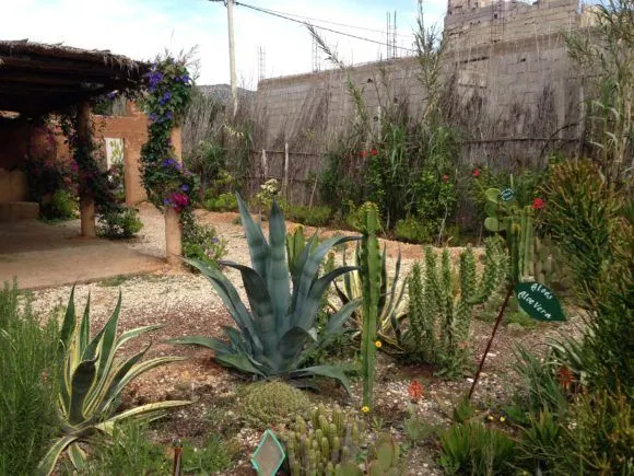 Botanic Garden at the Argan Oil Centre on the way to Paradise Valley in Morocco Photo Heatheronhertravels.com