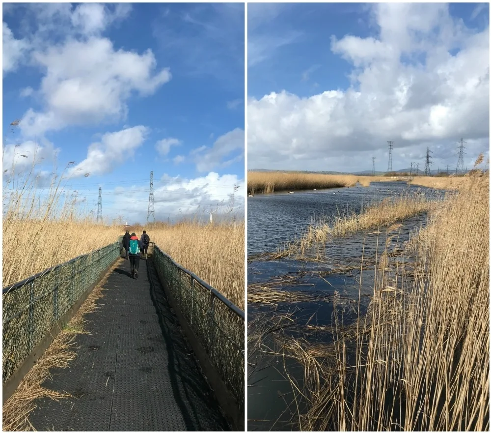 RSPB Newport Wetlands Centre Photo Heatheronhertravels.com